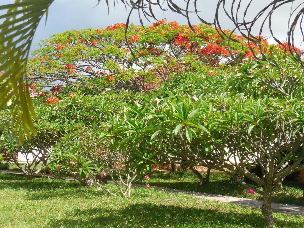 Swahili Beach Resort Zanzibar Esterno foto